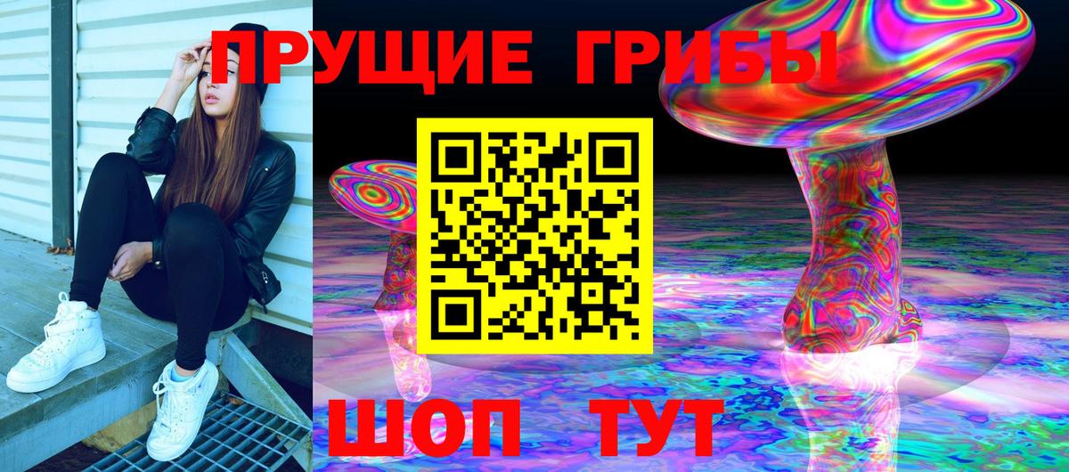 Миасс  Псилоцибиновые грибы Psilocybe  Вход с VPN 