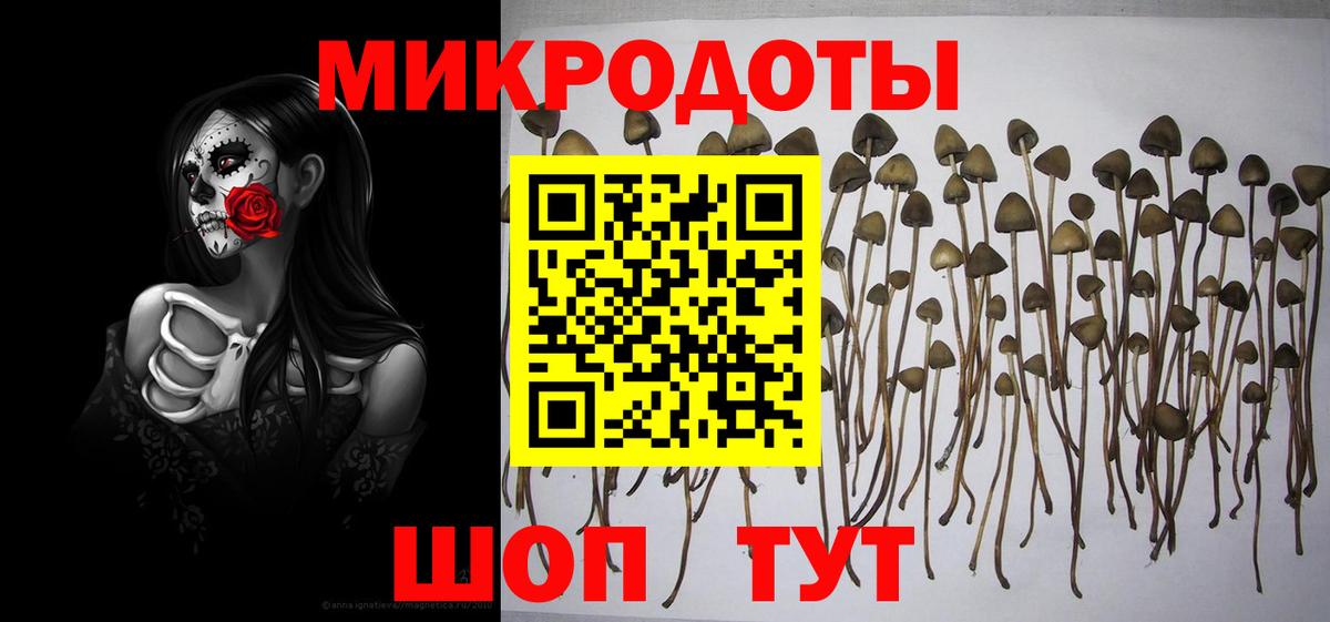 Псилоцибиновые грибы GOLDEN TEACHER Миасс